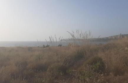 stella di ponente - Foto 50