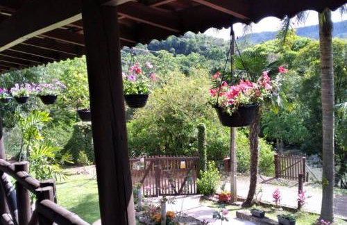 Sítio em área rural, ao pé da Serra Gaúcha. - Foto 59