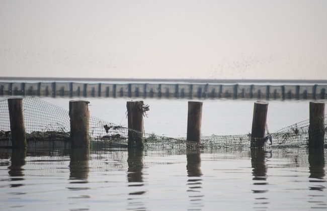 Agriturismo Ae Cavane - Photo 48