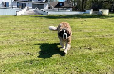 The Coach House at Wenvoe Manor, Cardiff - Photo 15