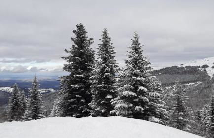 Appartement confortable et fonctionnel à 150m des pistes - Foto 19