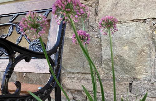 Cottage in Mid Calder Village near Edinburgh - Foto 30