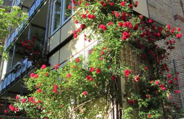 KernerApartement - Photo 29