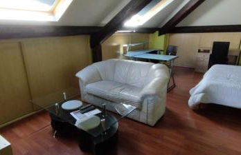 Grand Studio Climatisé en combles à 2 pas de la gare de NANCY - Foto 8