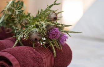 Apartamento rural Ca La Rumbeta en La Fresneda - Foto 29