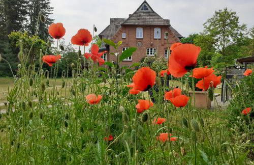 Ferienwohnung ehemalige Revierförsterei "Morgensünn" - Foto 24