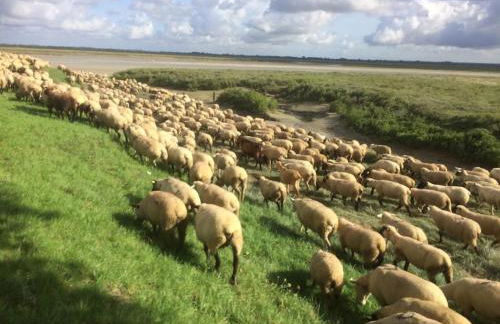 AUTHENTIQUE MAISON DE PECHEUR ENTRE-TERRE & MER Avec Un POÊLE À BOIS A Disposition - Foto 33
