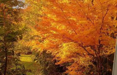 Treeside woodhouse - Foto 60