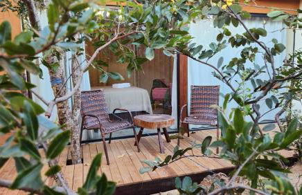 Espaço Canela-de-Ema - Foto 15