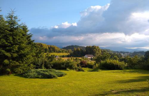 Domek pod borówką - Foto 1