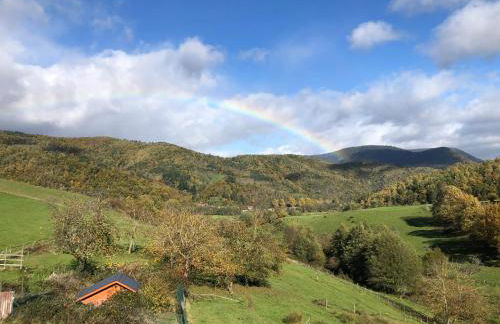 Maison pittoresque à Sainte-Croix-aux-Mines, vue sur la montagne - Foto 77