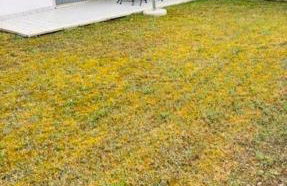 Sirmione Rosselli Apartments - Foto 44