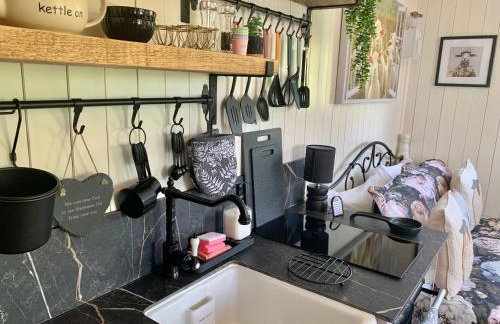 Little Bo Peep - Foto 28