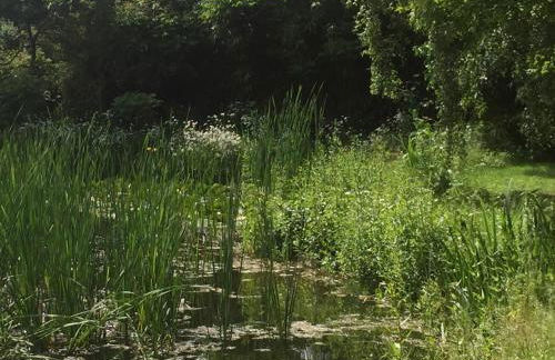 Rose cottage - Photo 15