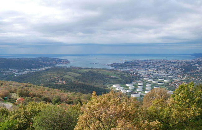 Socerb, Hrastovlje & Marezige Day Trip - Foto 1