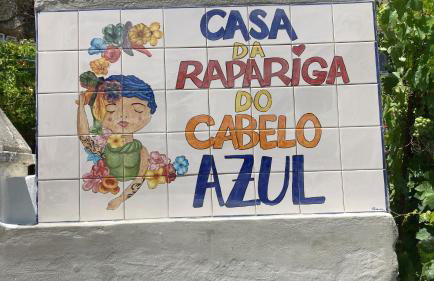 A Casa da Rapariga de Cabelo Azul - Foto 1