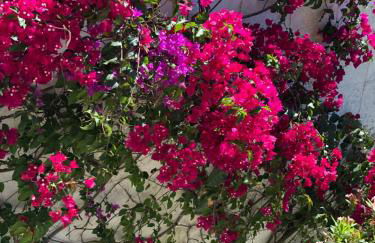 Genies Villa Boutique Algarve - Foto 42