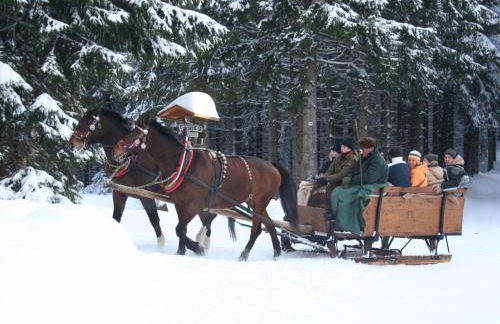 Holiday Home Vogtlandresidenz by Interhome - Foto 21