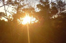tree house - Foto 20