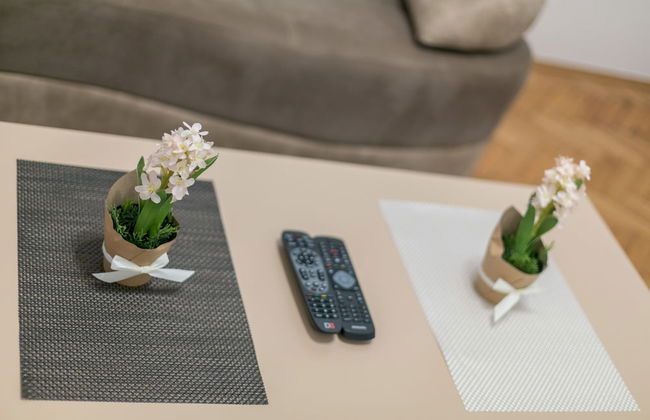 Apartment Dositejeva - Foto 25