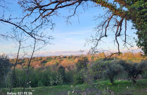 Casale I Pioppi - Foto 12