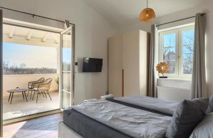 Beautiful Villa Legro with pool in Visnjan - Foto 5