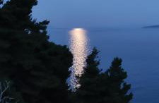 Rift Luxury Apartments - Photo 73