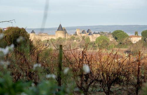 Villa des Cathares - Foto 45