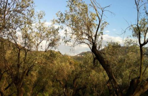 Farm Retreat in Sunny Calabria - Foto 26