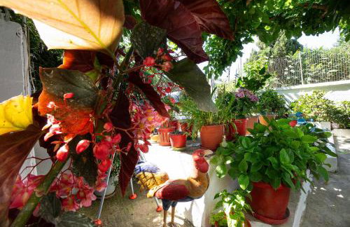 Irini House - Foto 36