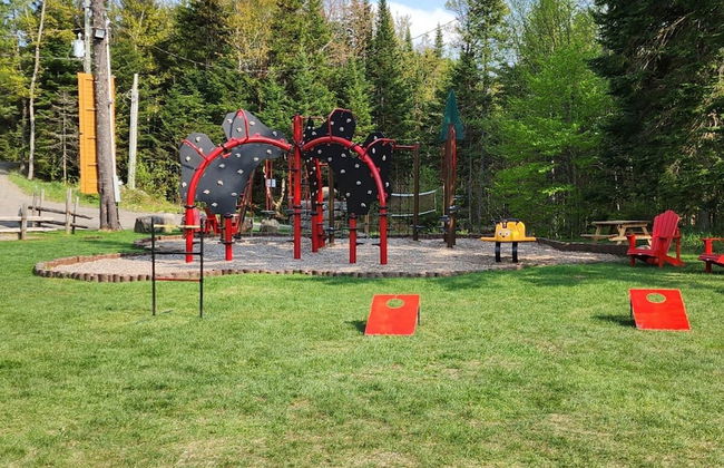 Big Bear Citq 234765 - Foto 31