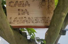 Casa da Laranjeira, perto de Obidos, Budha Eden, Dinossauros parque - Foto 15