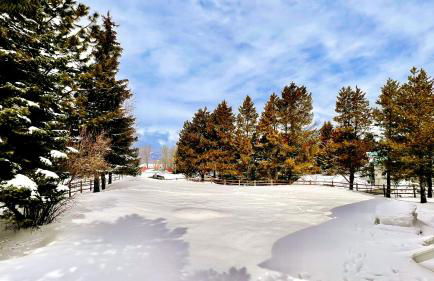 The Great Outdoors - Fantastic home - Lake Cascade - Game room - A/C - Lots of parking - Foto 47