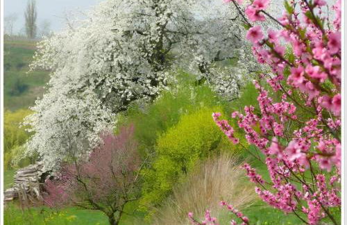 Ferienwohnung Am Marktplatz in Herbolzheim - Foto 32