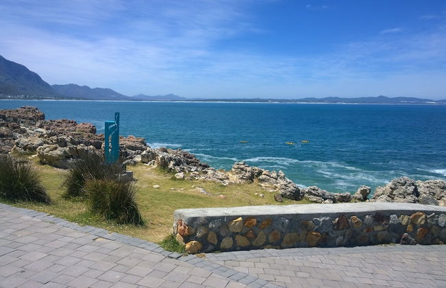 Come an Enjoy Cape Towns Best Kept Secret Kleinmond, 2 Hours From the City - Photo 21