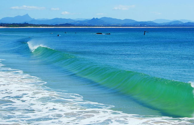 Gecko Shed - Foto 12