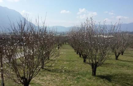 Villa Rustica - Photo 31