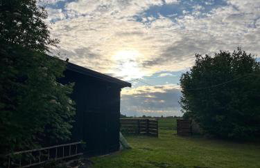 Lawendowy Domek agroturystyka, noclegi - 2,7 km od Bałtowa - Foto 50