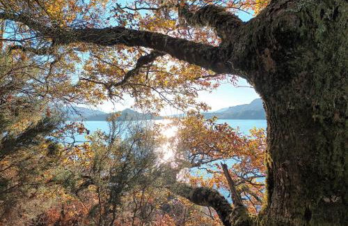 Casa do Castanheiro - Foto 64