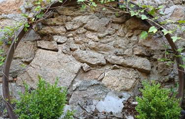 El Naturalista - Los sitios de aravalle - Foto 24