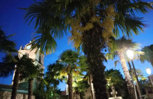 Apartamento Sanin 3 - Foto 18