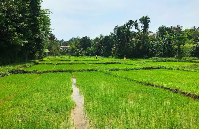 Horahena Farm Stay - Foto 33