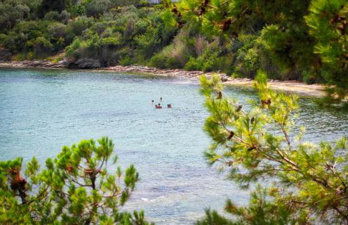 Aquamarine Apartments - Foto 28