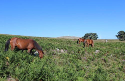 Casa do Azevim - Foto 75