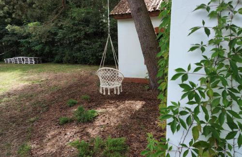 Dom letniskowy w Borach Tucholskich - Foto 14