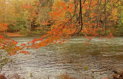 Paddler's Lane Retreat - Foto 46