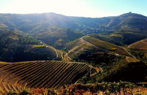 O Ze Ja Dormiu Aqui - Photo 53