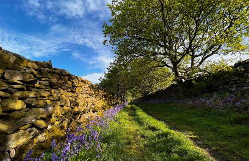 Langthwaite Cottage - Foto 31
