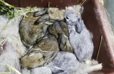 My Portugal for All - Lousada Villa - Foto 59