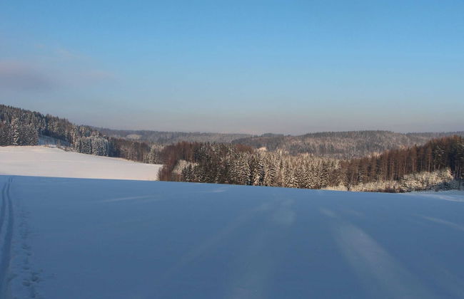 Stupna Holiday Home With Garden - Photo 38